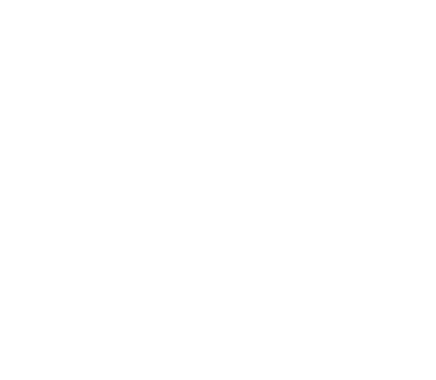 Wild Bush Lodge and Camping Site